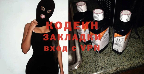 хмурый Алзамай